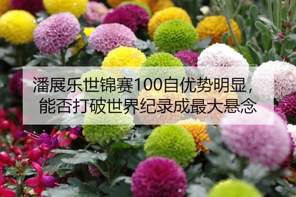 潘展乐世锦赛100自优势明显，能否打破世界纪录成最大悬念