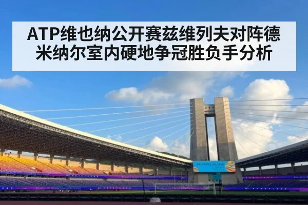 ATP维也纳公开赛兹维列夫对阵德米纳尔室内硬地争冠胜负手分析